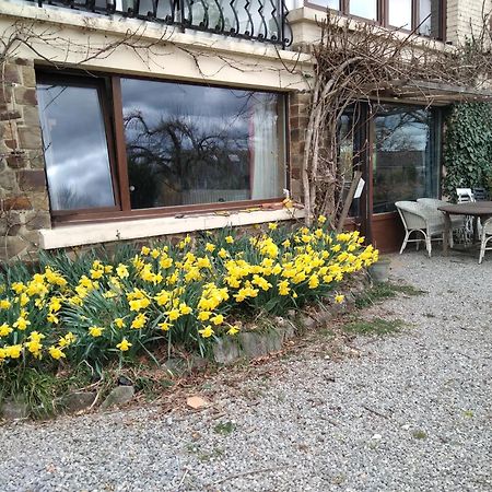 Dinant La Bergeronnette Avec La Chaleur Du Feu De Bois Et Le Jardin Villa Exteriör bild