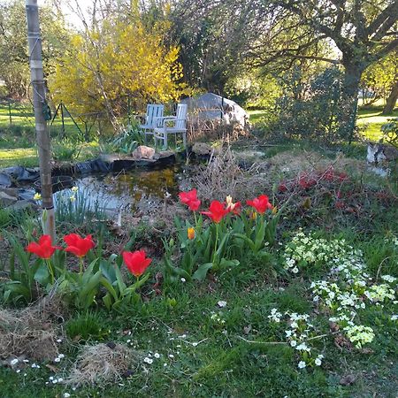 Dinant La Bergeronnette Avec La Chaleur Du Feu De Bois Et Le Jardin Villa Rum bild