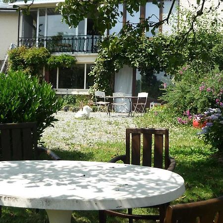 Dinant La Bergeronnette Avec La Chaleur Du Feu De Bois Et Le Jardin Villa Exteriör bild