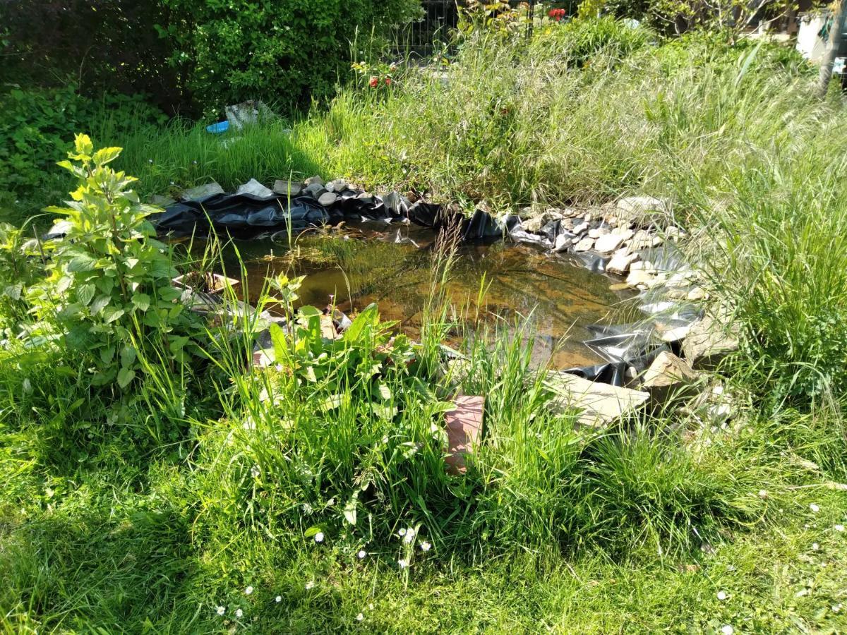 Dinant La Bergeronnette Avec La Chaleur Du Feu De Bois Et Le Jardin Villa Exteriör bild