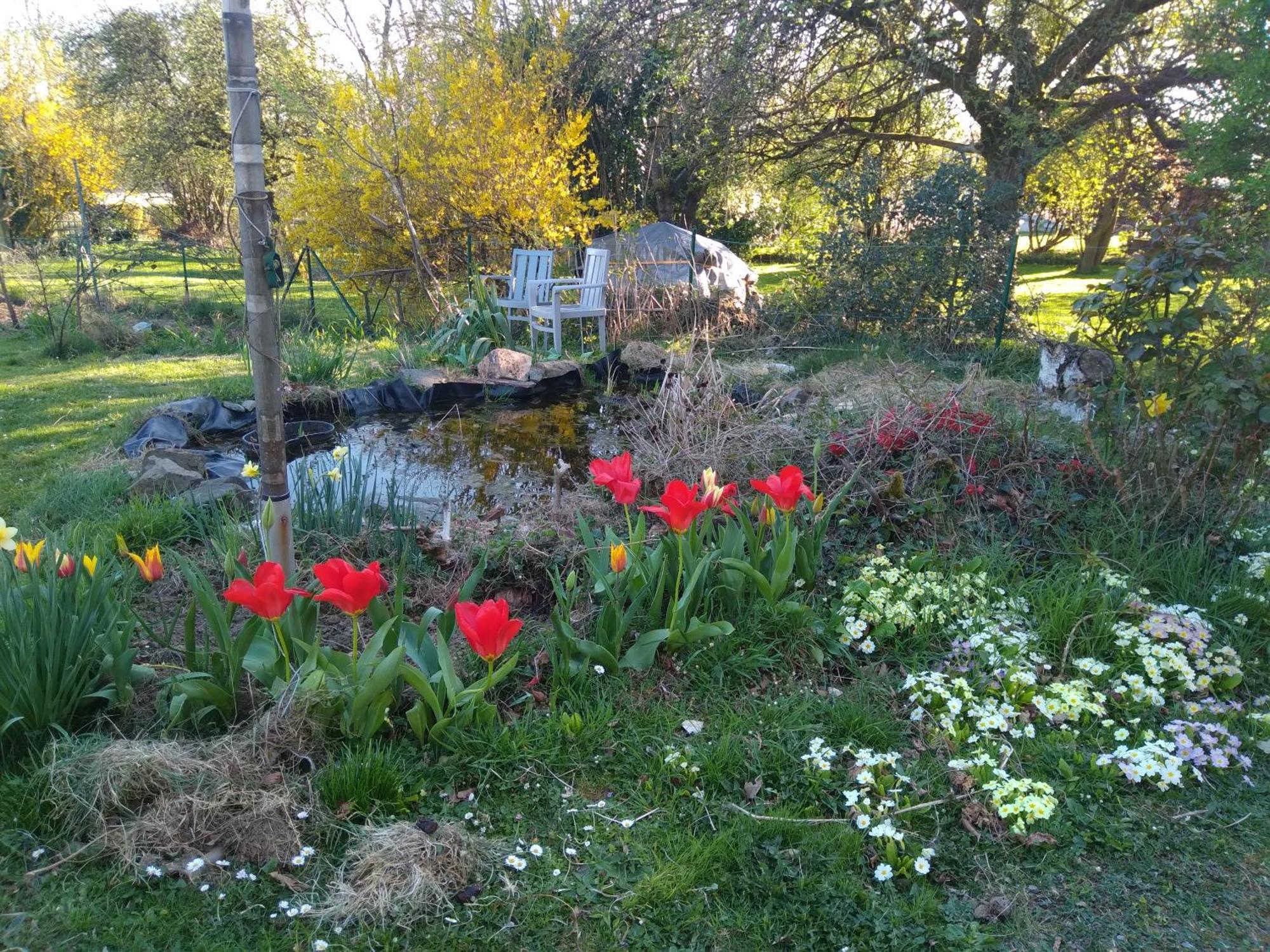 Dinant La Bergeronnette Avec La Chaleur Du Feu De Bois Et Le Jardin Villa Rum bild
