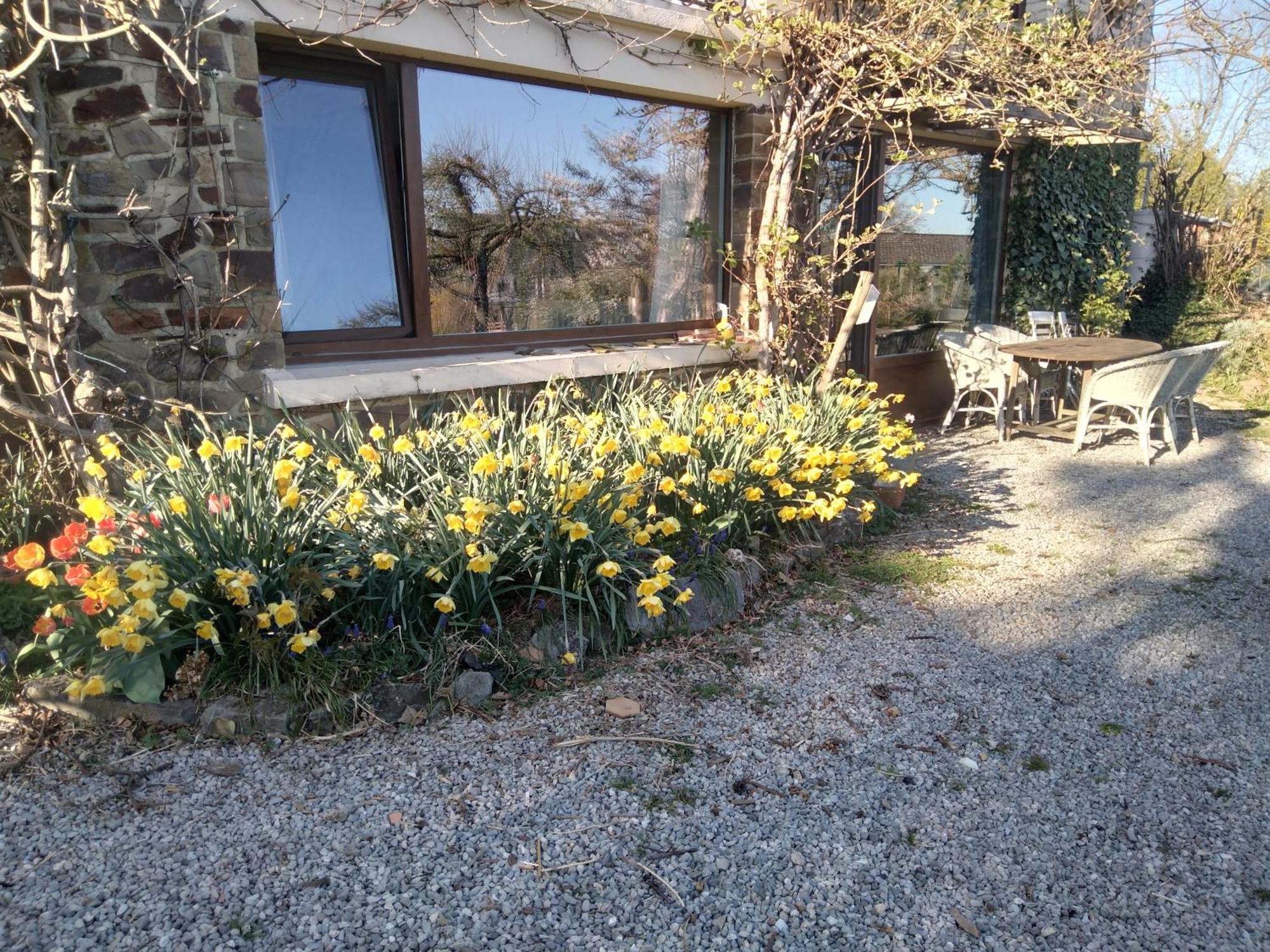 Dinant La Bergeronnette Avec La Chaleur Du Feu De Bois Et Le Jardin Villa Rum bild