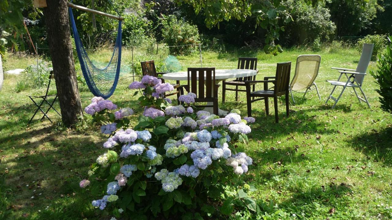 Dinant La Bergeronnette Avec La Chaleur Du Feu De Bois Et Le Jardin Villa Exteriör bild
